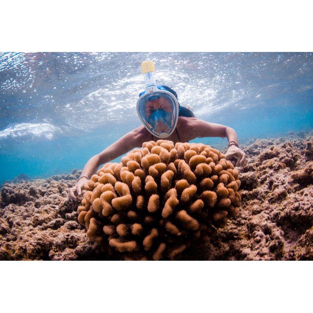 Freewell Full-Face Snorkeling Mask with Action Camera Mount