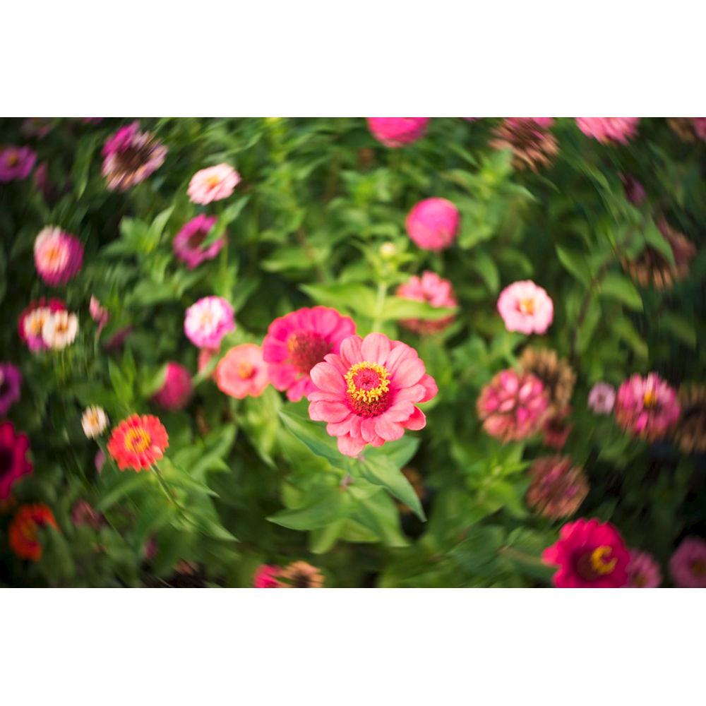 Lensbaby Trio 28mm f 3.5 Lens for Canon EF-M