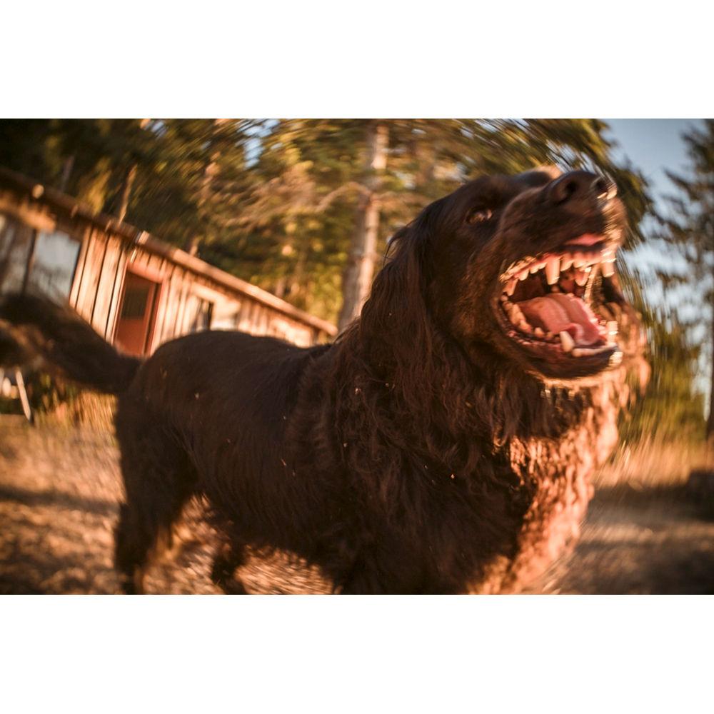 Lensbaby Trio 28mm f 3.5 Lens for Canon EF-M