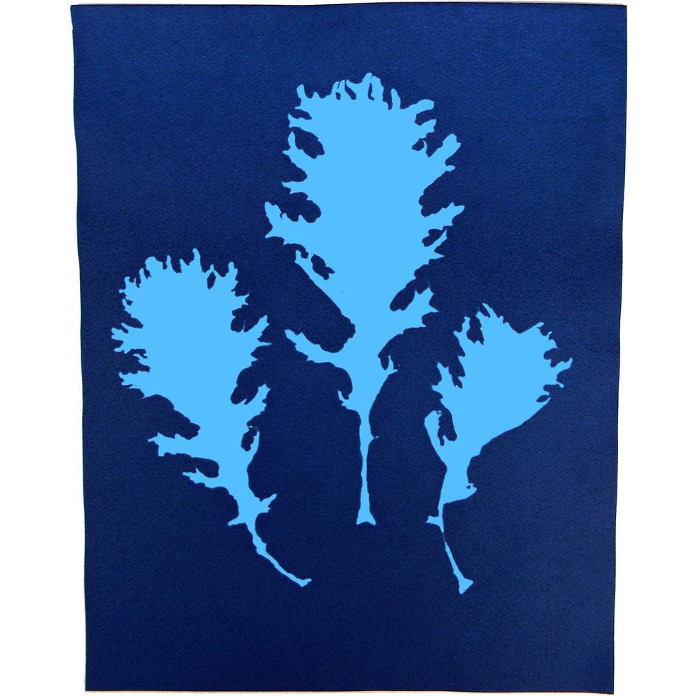 Cyanotype Store Cyanotype Paper
