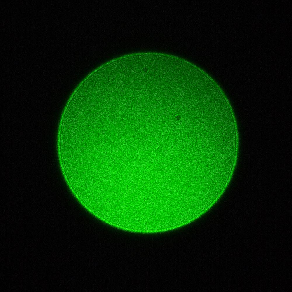 Firefield Hog Laser Illuminator