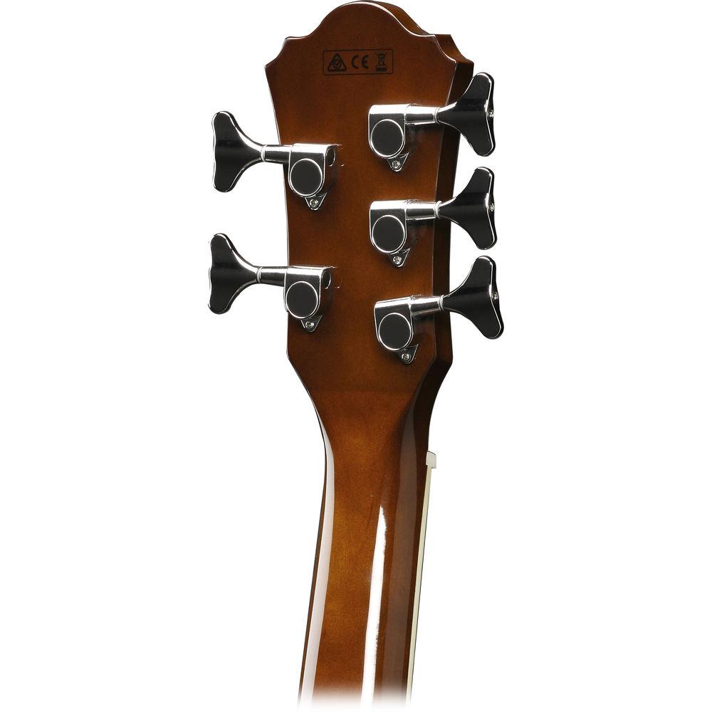 Ibanez AEB105E AEB Series Acoustic Electric Bass