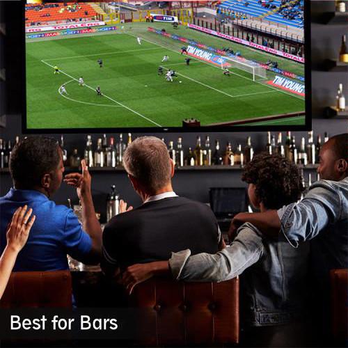 Pyle Pro Fixed Wall Mount Projector Screen