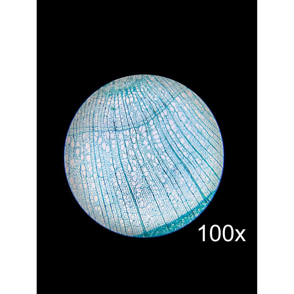 Barska AY13070 Monocular Compound Microscope