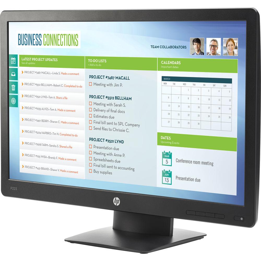 HP ProDisplay P223 21.5" 16:9 LCD Monitor