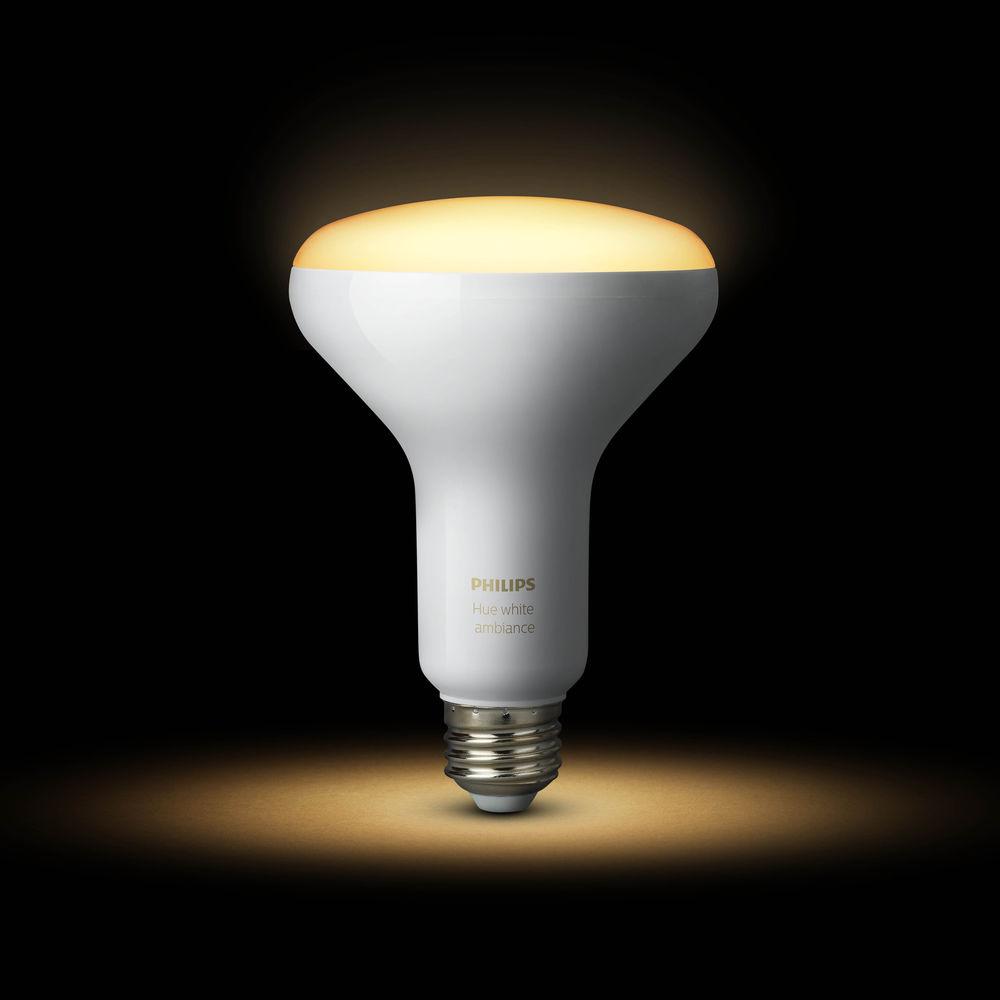 Philips Hue BR30 Bulb