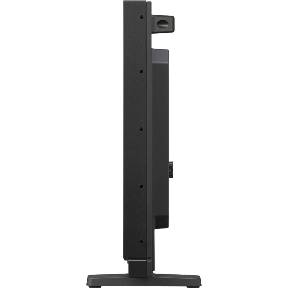 Sony PVMA250 25" Monitor with Hood, Case & Yoke Bundle