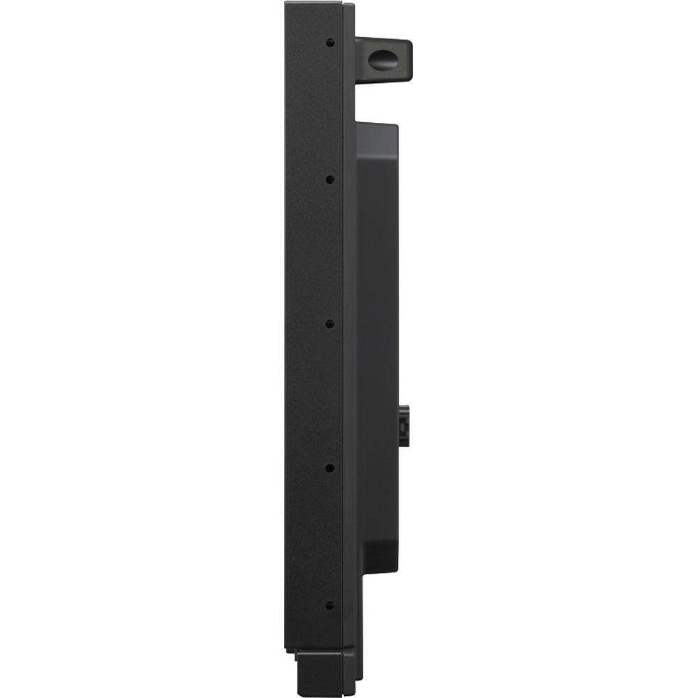 Sony PVMA250 25" Monitor with Hood, Case & Yoke Bundle