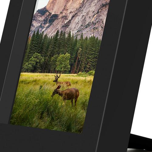 Twelve South PowerPic Qi Wireless Charging Photo Frame