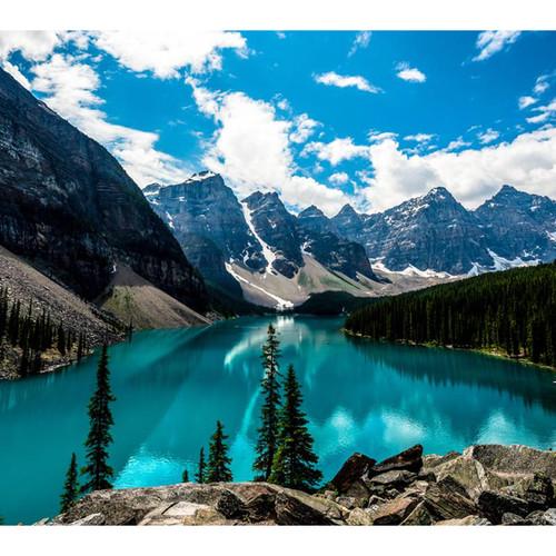 ViewSonic 65" Viewboard 4K Interactive Flat Panel with Inglass Technology