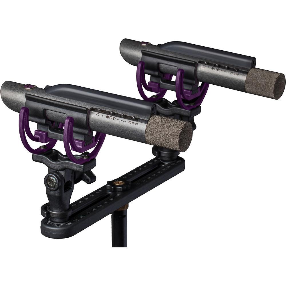 Aston Microphones Starlight Small-Diaphragm Condenser Microphone