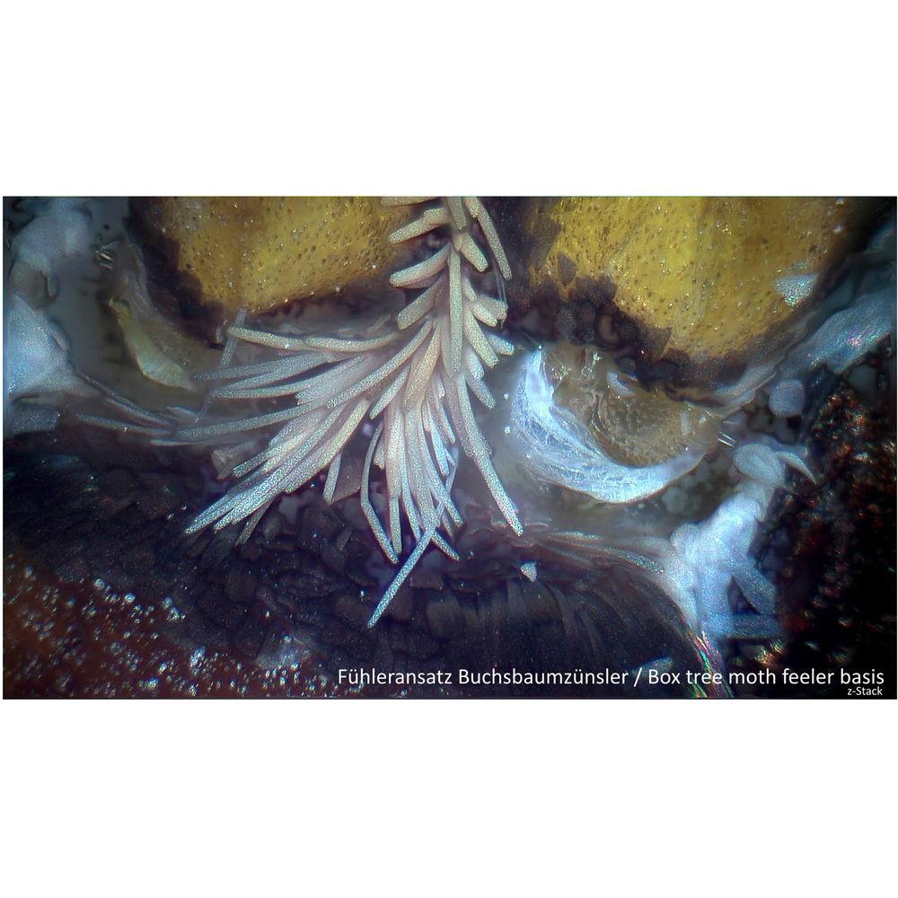 BRESSER MikroCam Pro HDMI Camera with C-Mount