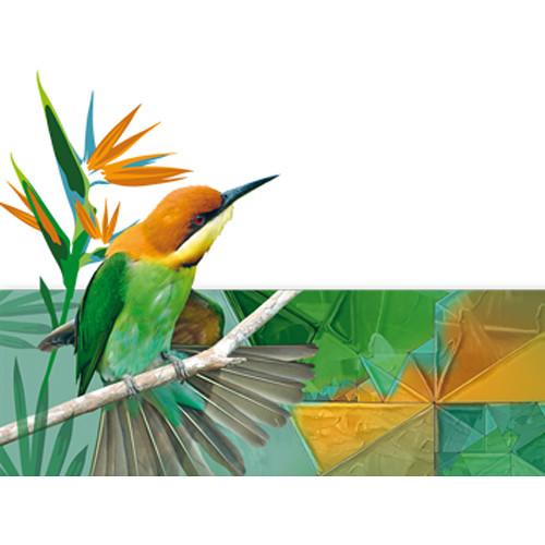 MAGIX Entertainment Xara Photo Graphic Designer - ESD Volume 5-99