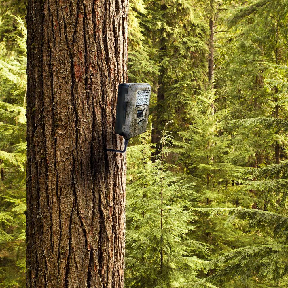 Xventure ProX Tree Utility Mount