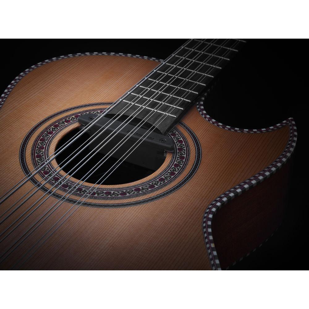 Fishman Rare Earth Soundhole Pickup for Bajo Quinto Guitars