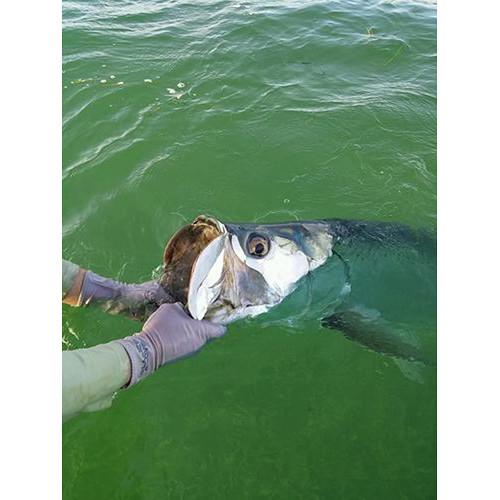 Glacier Glove Abaco Bay Sun Glove