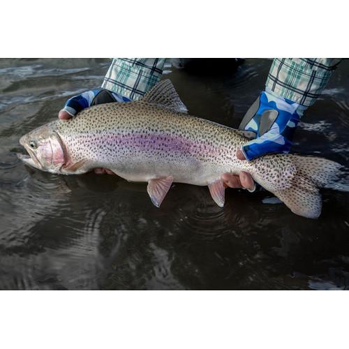 Glacier Glove Islamorada Sun Glove