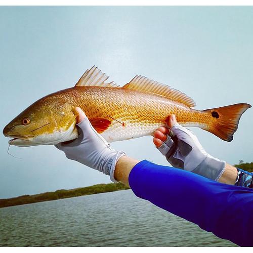 Glacier Glove Islamorada Sun Glove