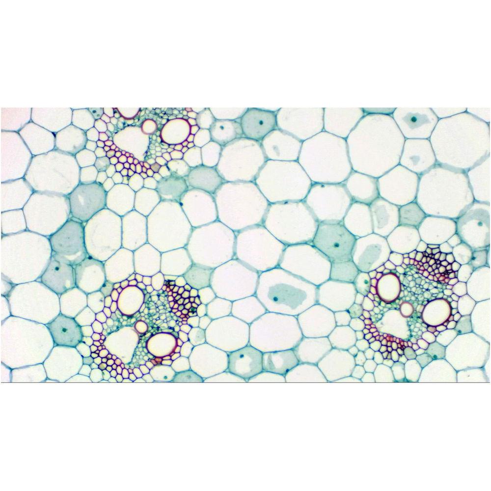 BRESSER MikrOkular Full HD Eyepiece USB Camera