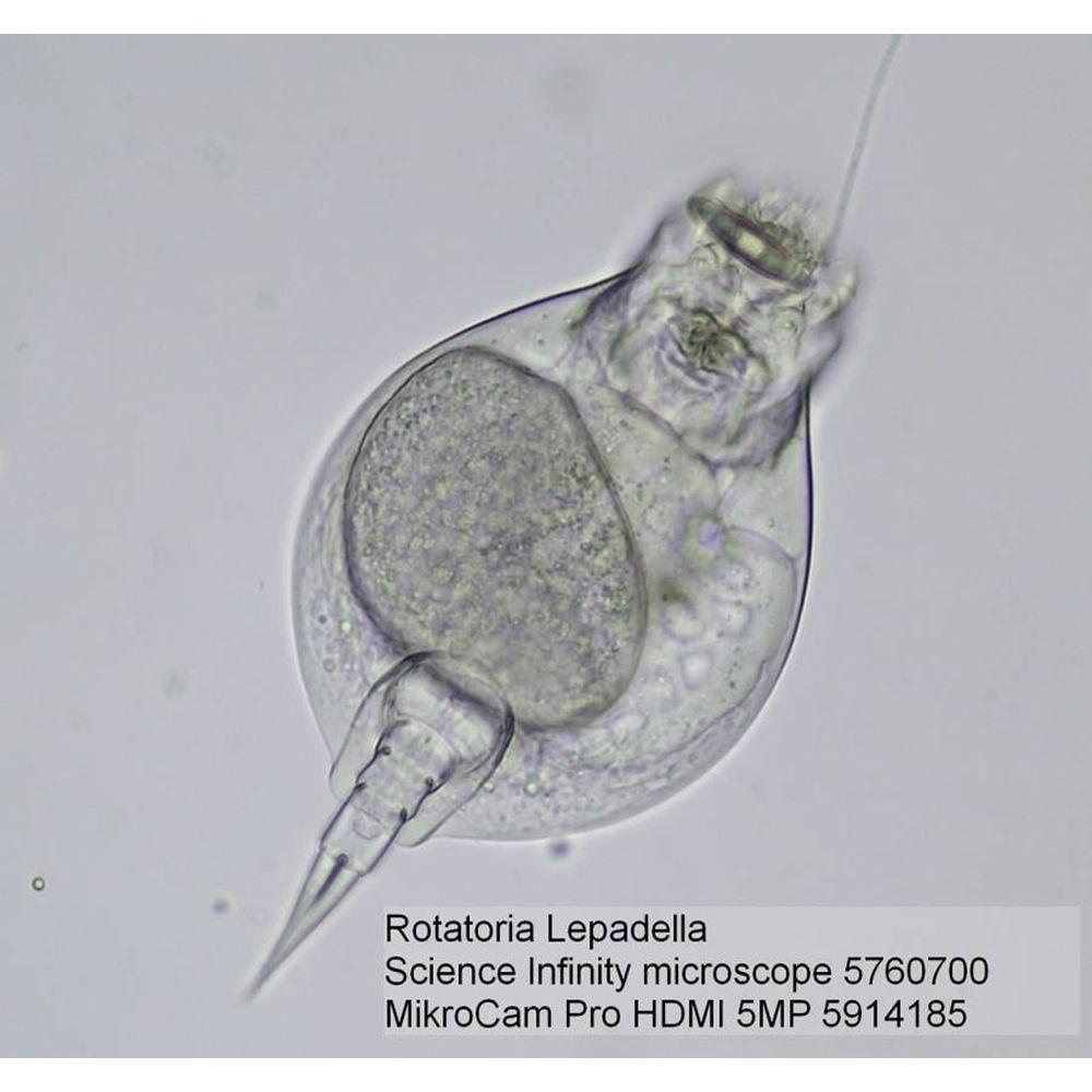 BRESSER Science Infinity Microscope