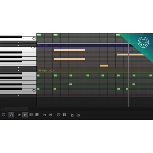 MAGIX Entertainment ACID Pro 8 - Loop-Based Music Production Software