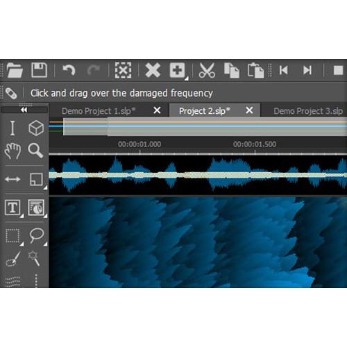 MAGIX Entertainment SpectraLayers Pro 5 - Advanced Audio Spectrum Editor Software