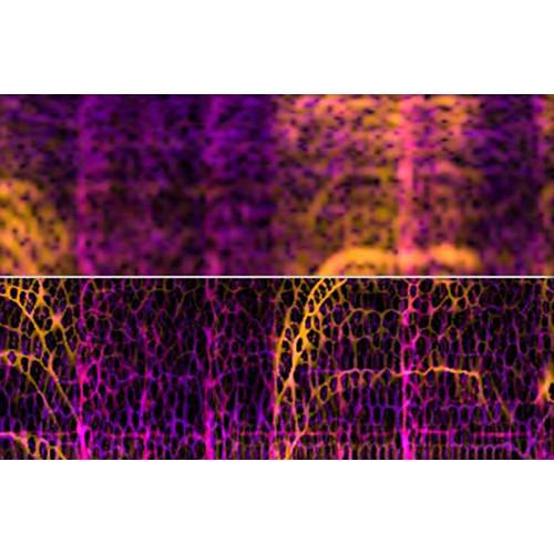 MAGIX Entertainment SpectraLayers Pro 5 - Advanced Audio Spectrum Editor Software