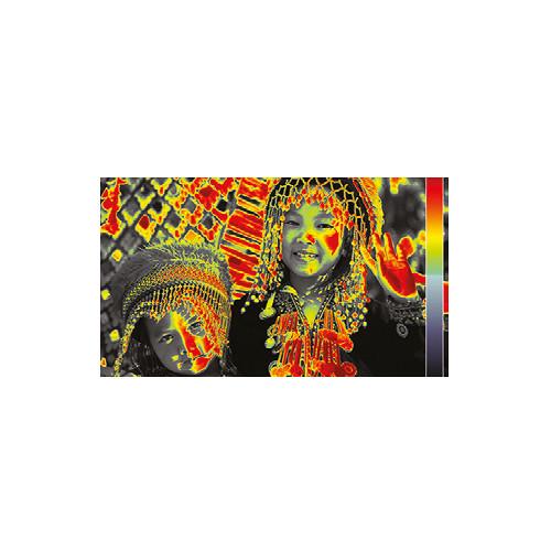 PHABRIX Qx UHDTV Rasterizer with 3G IP SDI Analyzer