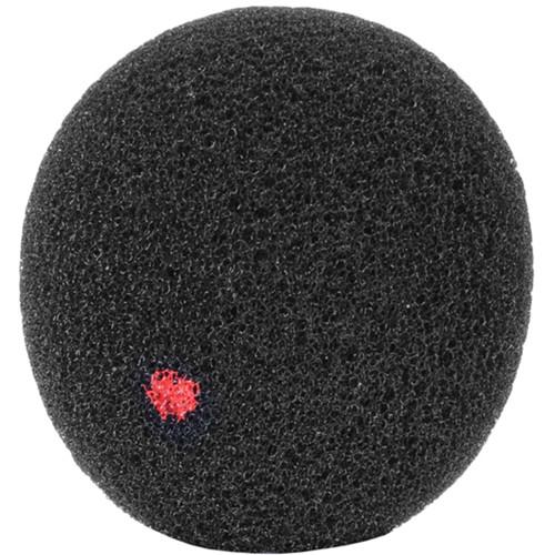 Countryman Isomax 2 All Purpose Microphone