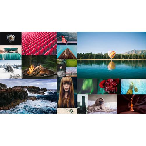 MAGIX Entertainment Xara Web Designer Premium - ESD Volume 100