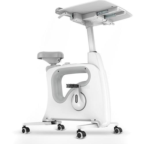 Loctek Flexispot V9 Desk Exercise Bike