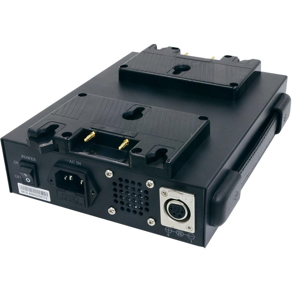 Fxlion Dual-Channel Gold-Mount and AN Battery Charger with DC Output for HD Video Camera