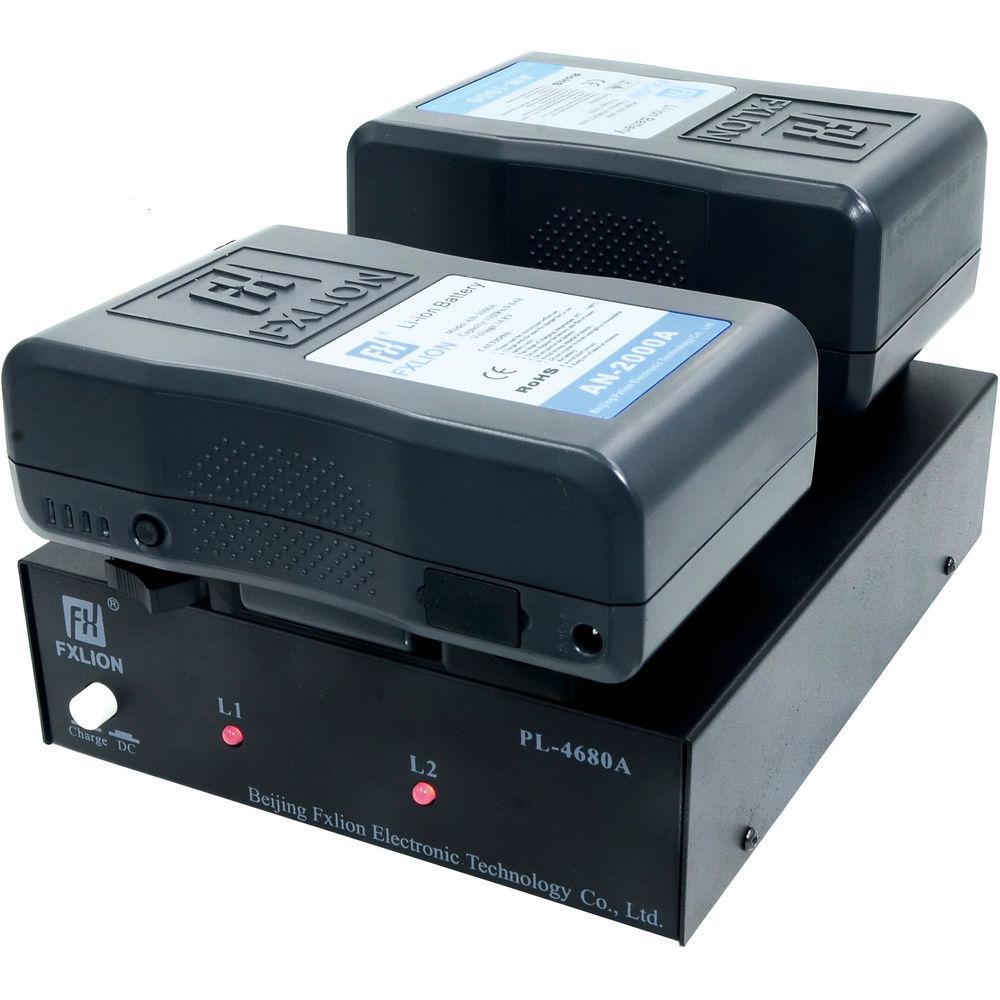 Fxlion Dual-Channel Gold-Mount and AN Battery Charger with DC Output for HD Video Camera