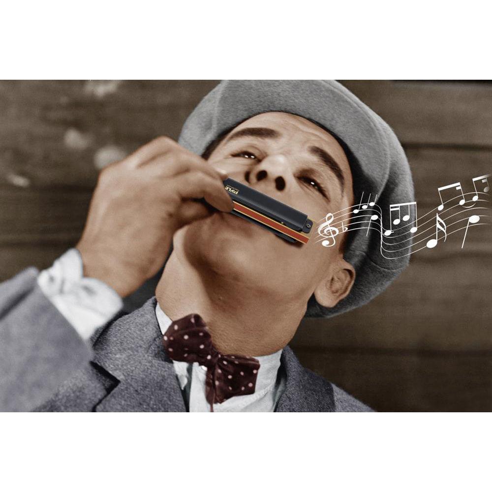 Pyle Pro Kit of Classic Style Diatonic Harmonicas with Brass Cover Plates
