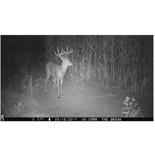 Browning Strike Force 850 Extreme Trail Camera