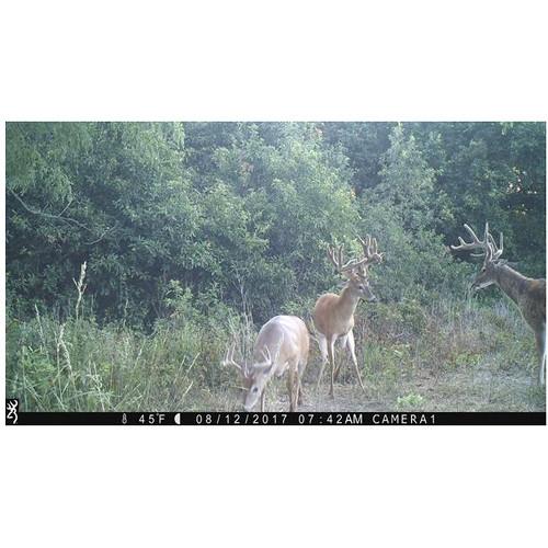 Browning Strike Force 850 Extreme Trail Camera