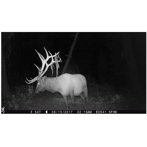 Browning Strike Force 850 Extreme Trail Camera