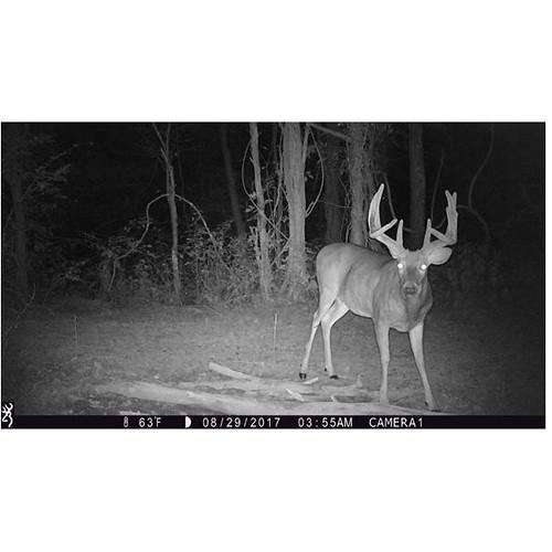 Browning Strike Force Pro XD Trail Camera