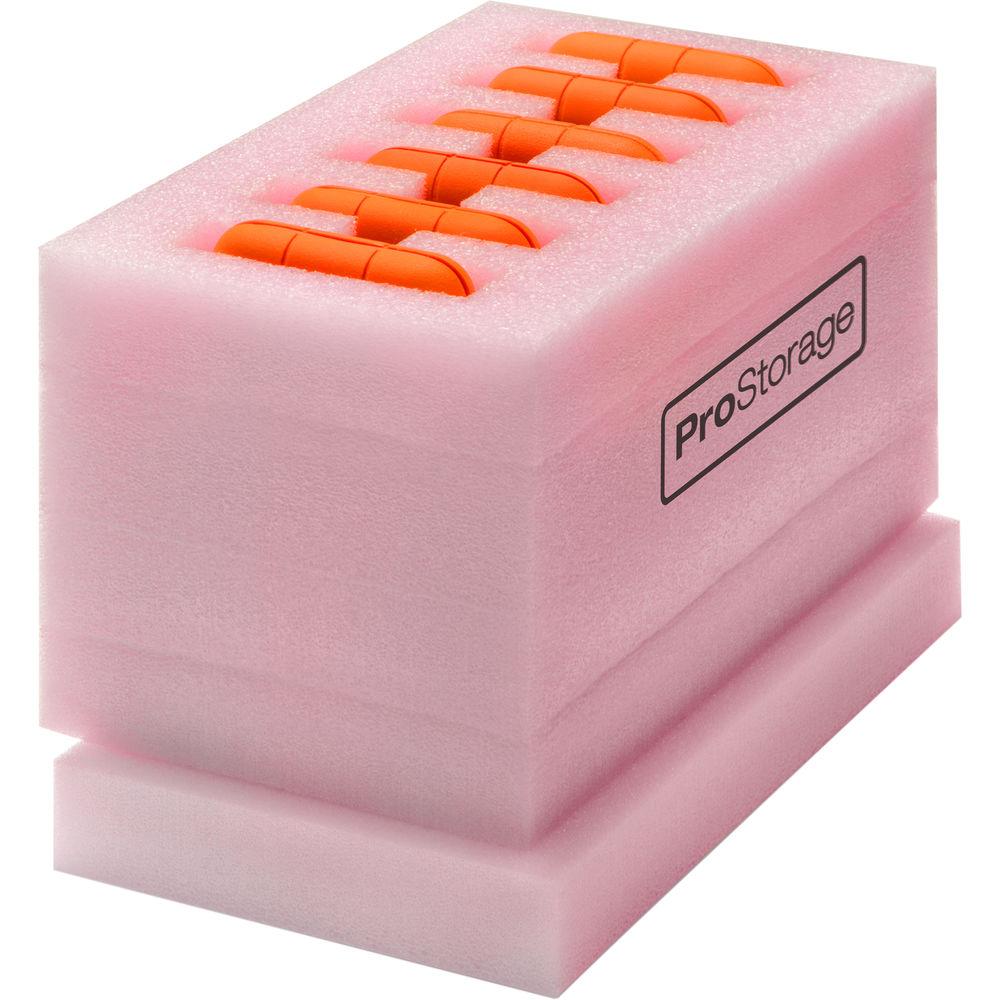 ProStorage 6 Hard Drive Storage Case for 3.5" HDDs, RAID Sleds, and LaCie Orange Rugged Drives