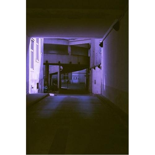 REVOLOG 460nm 200 Color Negative Film