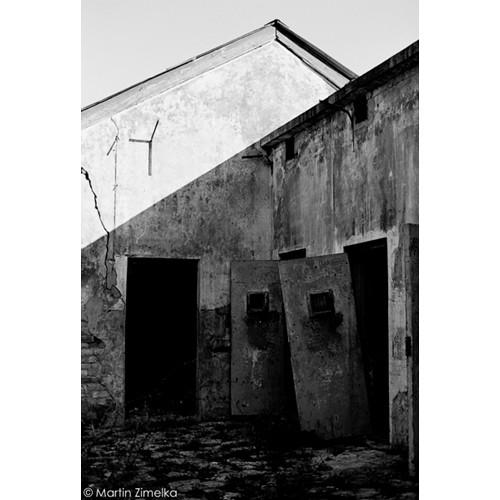 Rollei Ortho 25 Black and White Negative Film