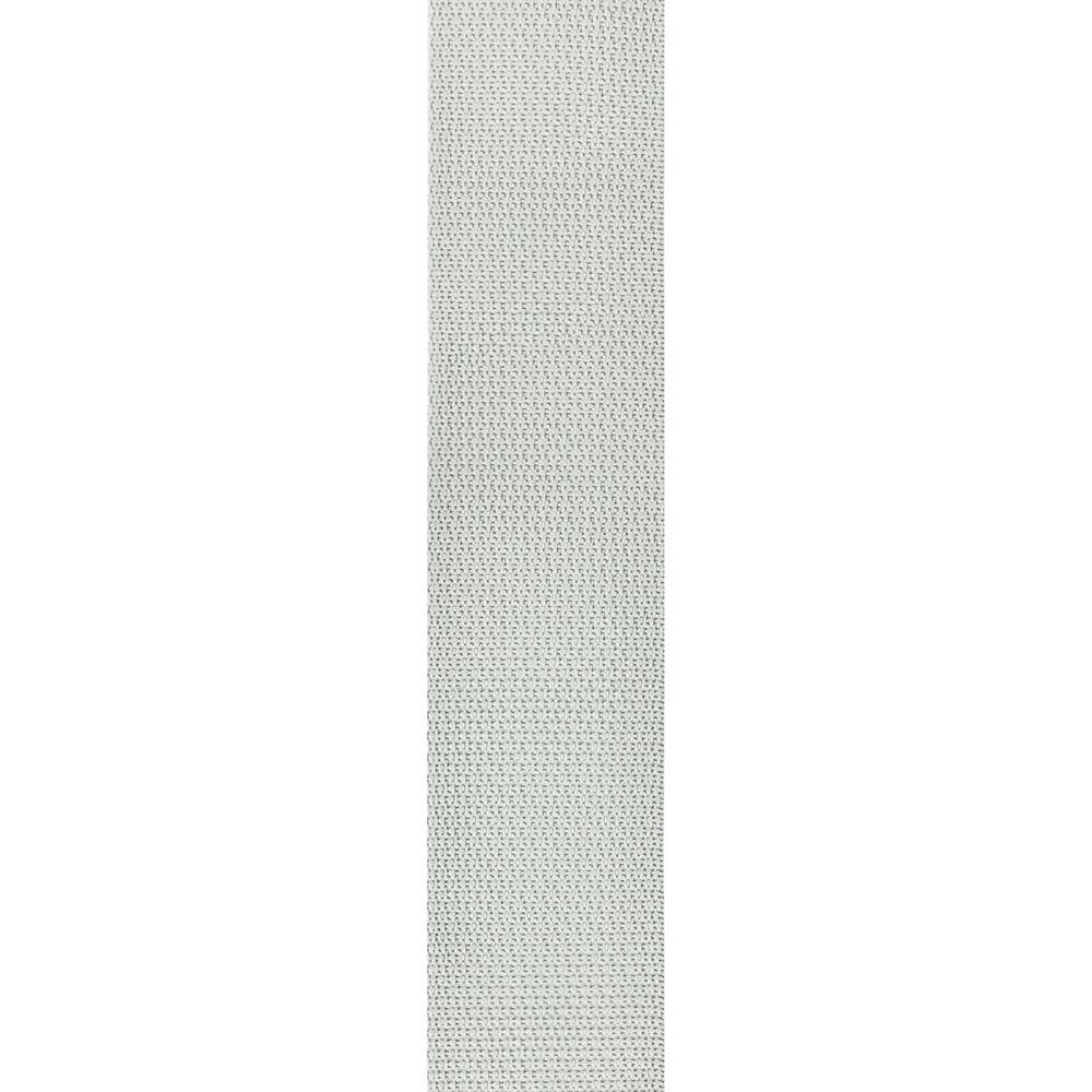 Planet Waves Polypropylene 2" Guitar Strap