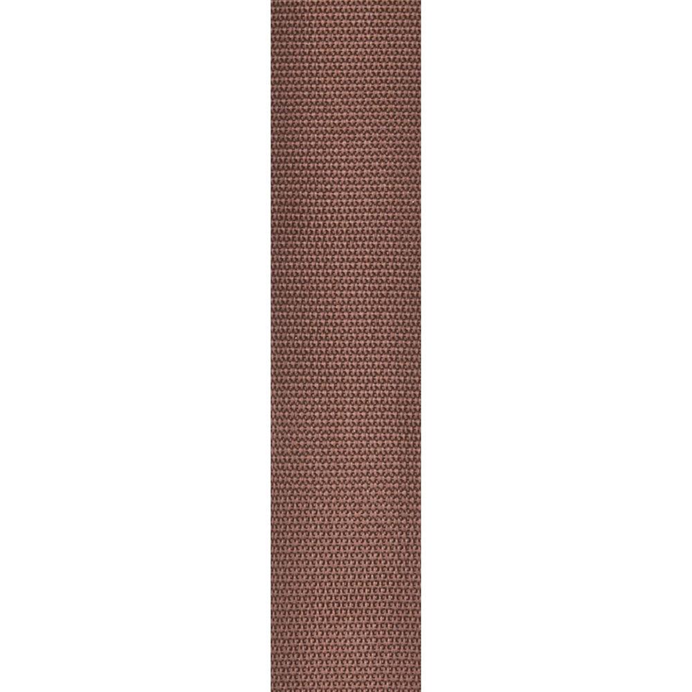 Planet Waves Polypropylene 2" Guitar Strap