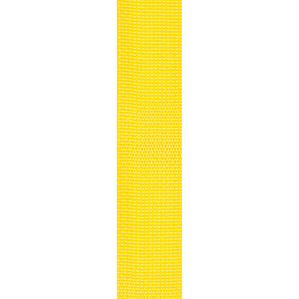 Planet Waves Polypropylene 2" Guitar Strap