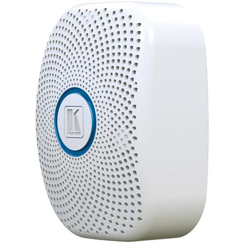 Kramer Vibrating Transducer Speaker