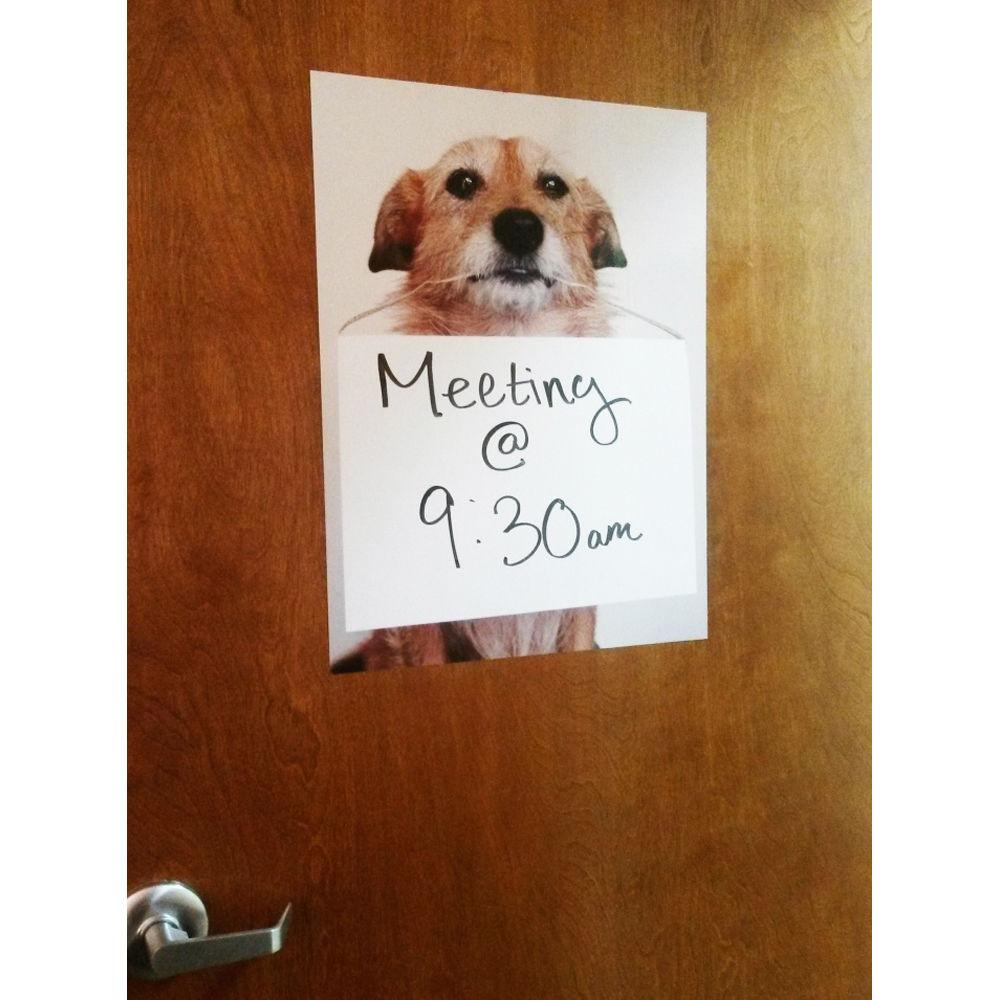 Drytac WipeErase Clear Gloss Dry-Erase Laminating Film