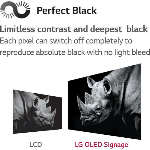 LG 55" Dual-View Full HD Flat OLED Signage with Floor Stand