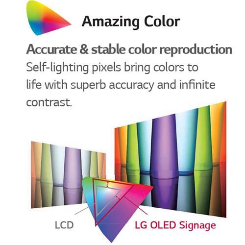 LG 55" Dual-View Full HD Flat OLED Signage with Floor Stand