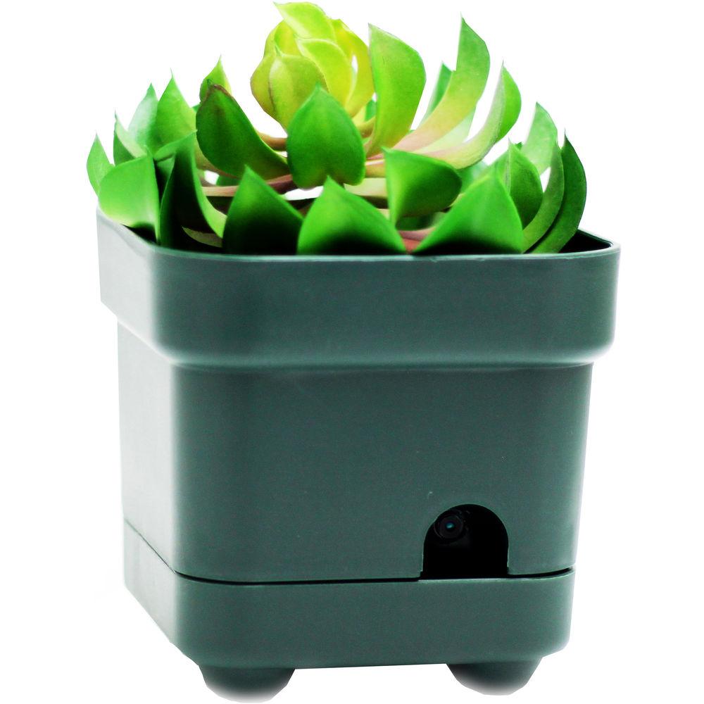 Mini Gadgets OmniEye Artificial Plant with Covert Camera