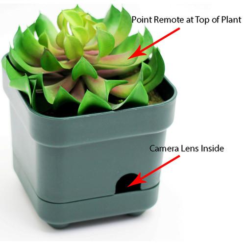 Mini Gadgets OmniEye Artificial Plant with Covert Camera
